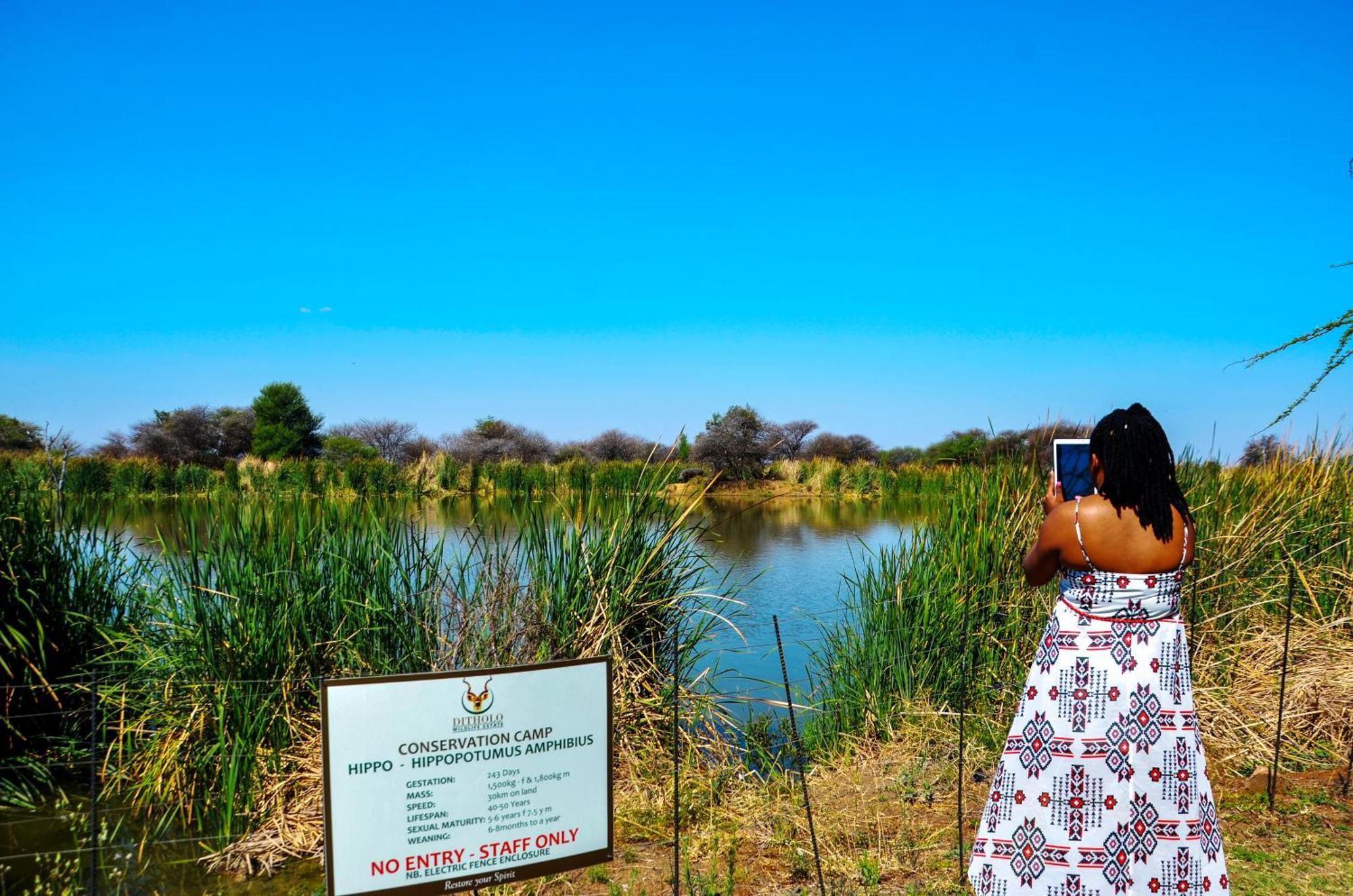 Ditholo Game Lodge Bela Bela Esterno foto