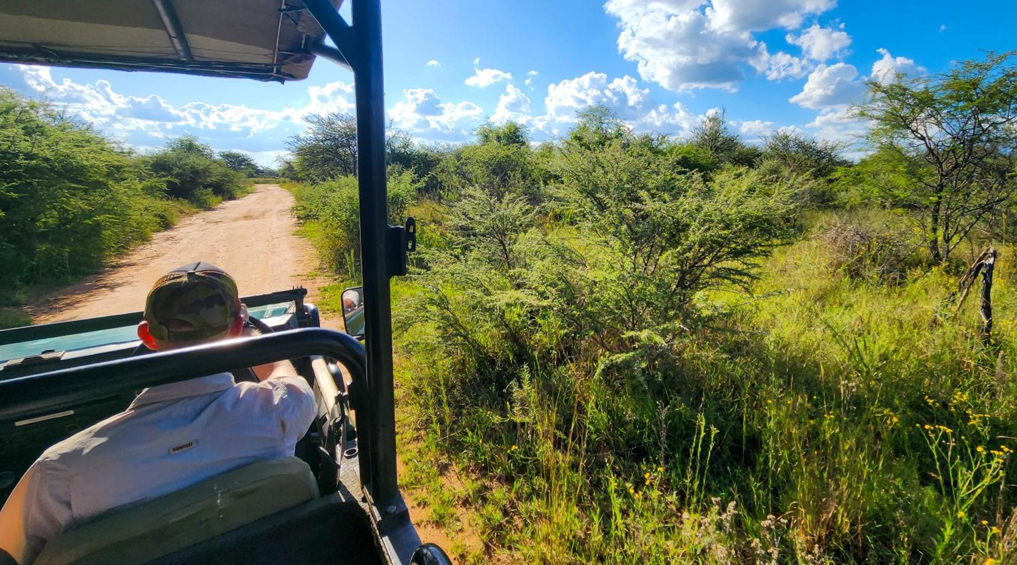 Ditholo Game Lodge Bela Bela Esterno foto