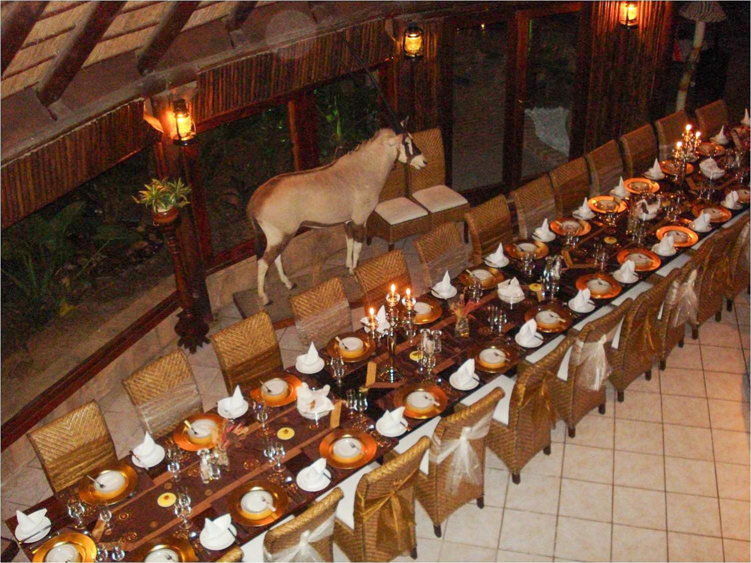 Ditholo Game Lodge Bela Bela Esterno foto